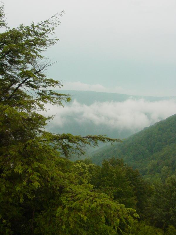 Big Run Scenic Overlook - Click to Enlarge
