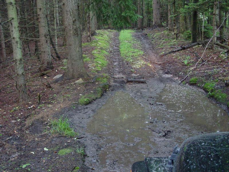 Trail - Click to Enlarge