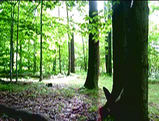 Movie: mov06023.mpg Campsite