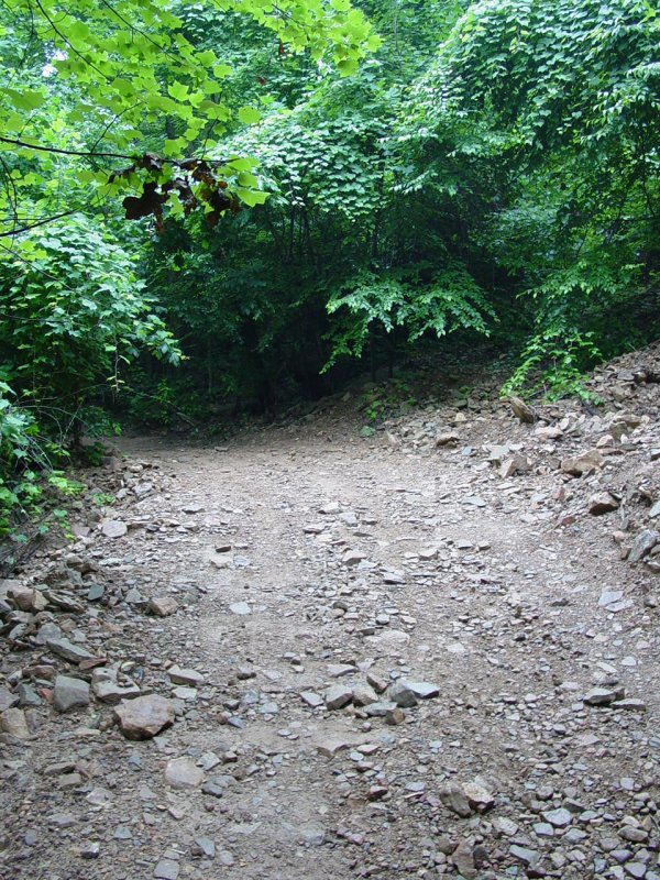 No More Slip in the Hill! - Click to Enlarge
