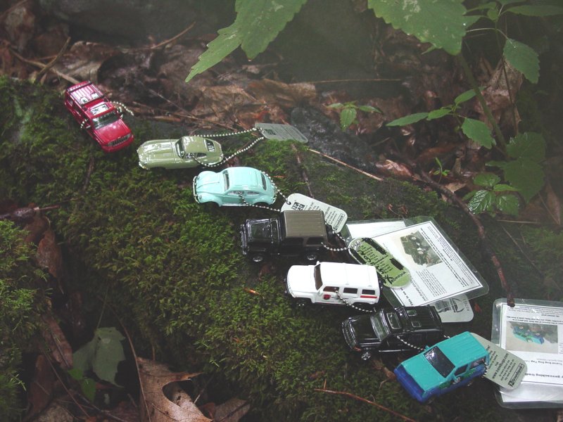 Assorted Travel Bugs