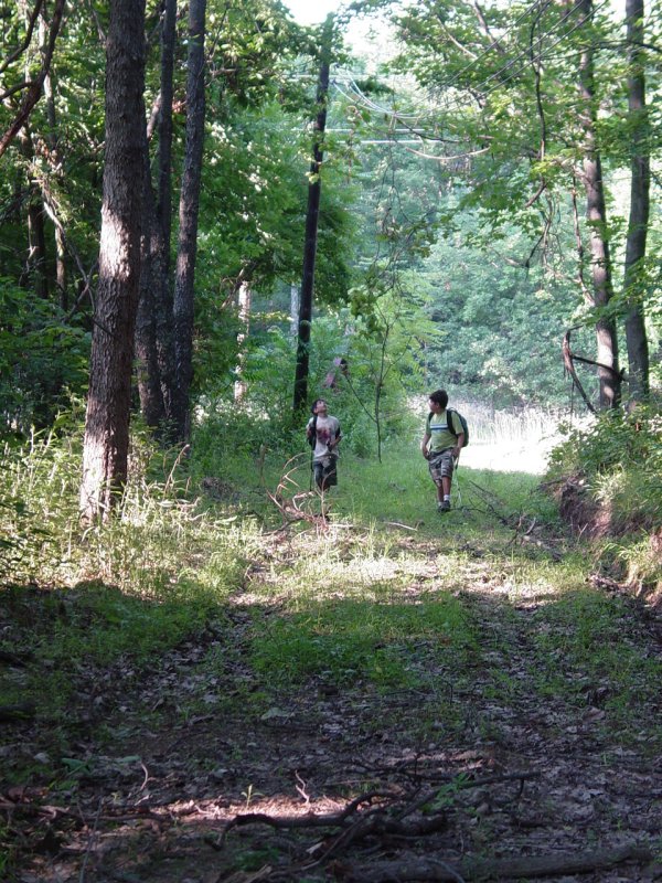 Boys on the trail