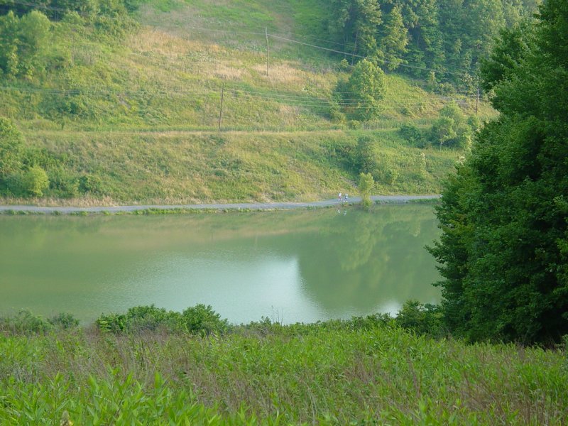 Pedlar WMA - Another View on the way out - Dixon Lake