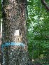WMA Boundary