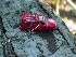 Red Jeep Travel Bug