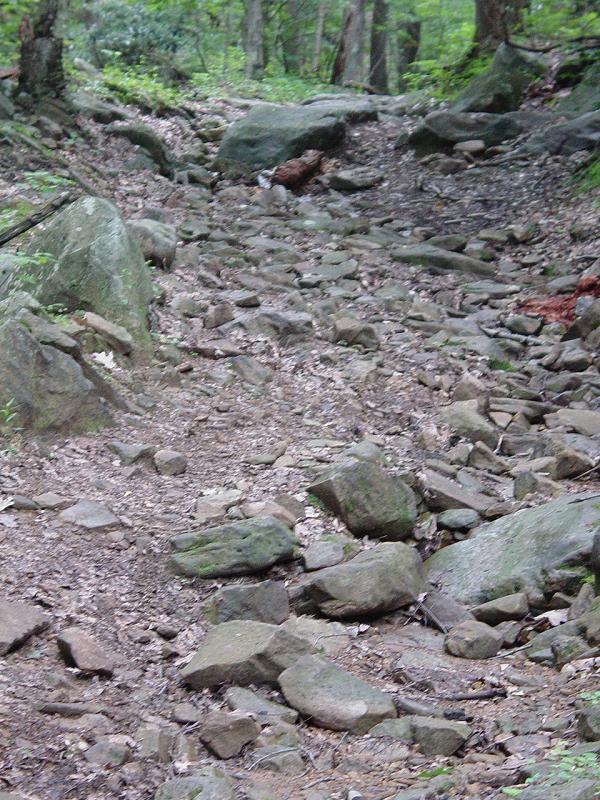Rocks