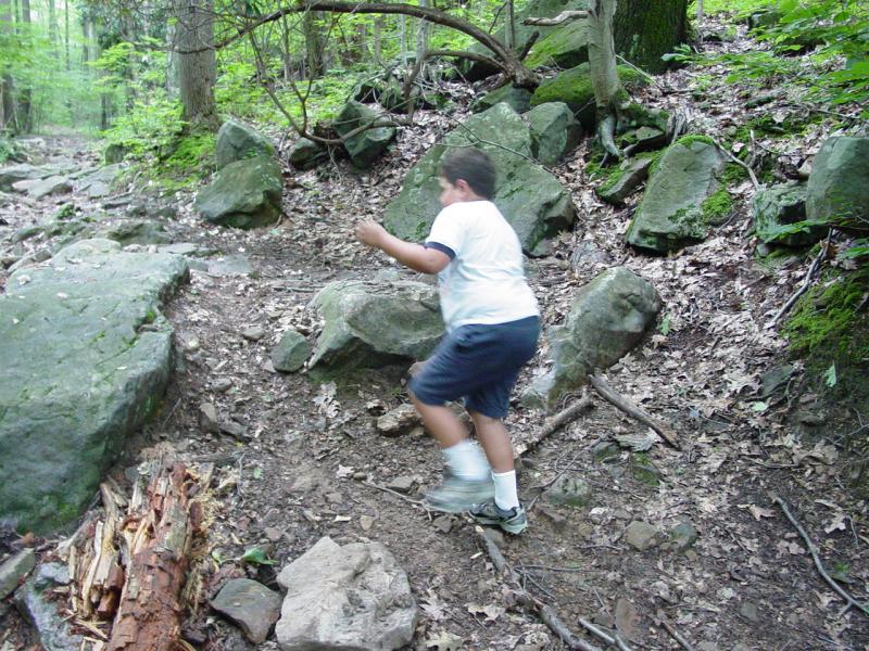 Rocks