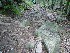 Rocks