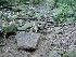 Rocks