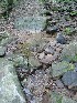 Crossing over Darnell Hollow stream