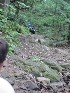 Rocks