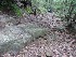 Rocks