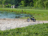 Bike at the Pond