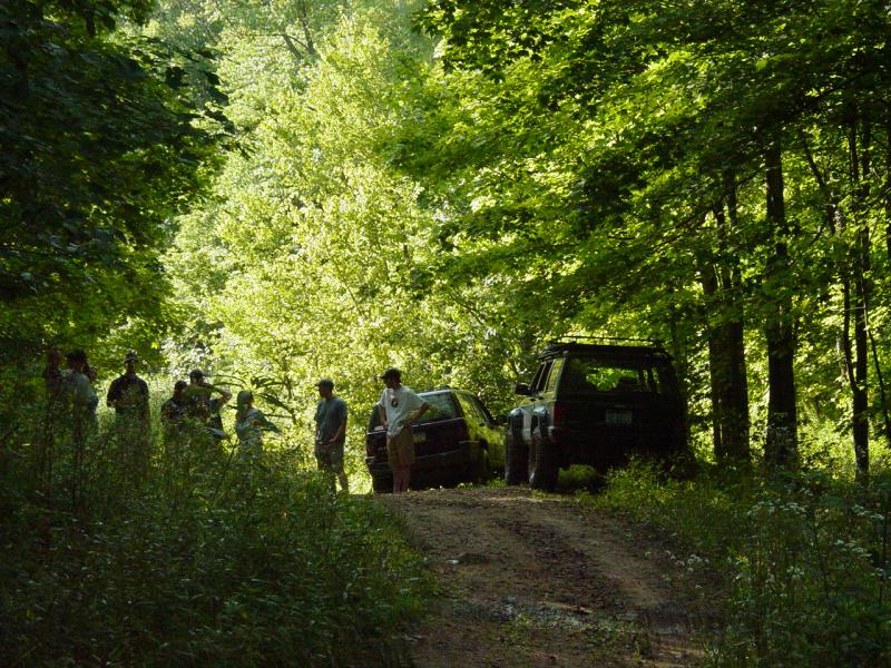 Great Day in the Woods - Click to Enlarge