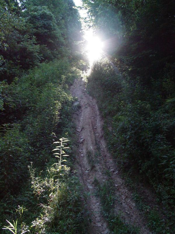 Stairway to Heaven? - Click to Enlarge