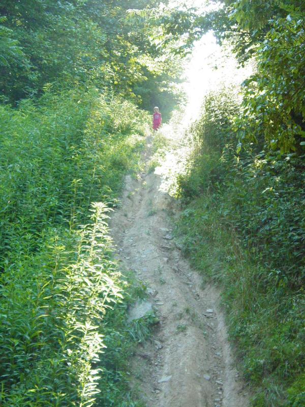 Tom goes exploring - Click to Enlarge