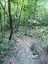 Buffalo Creek