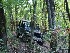 Buffalo Creek