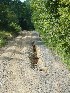 Eroded Trail