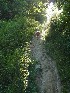 Tom goes exploring