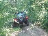 Another side trail