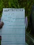 Log at SGL 223