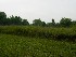Field near SGL 223