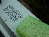 Writing on railing near The Bridges of Greene County # 6 - Carmichaels