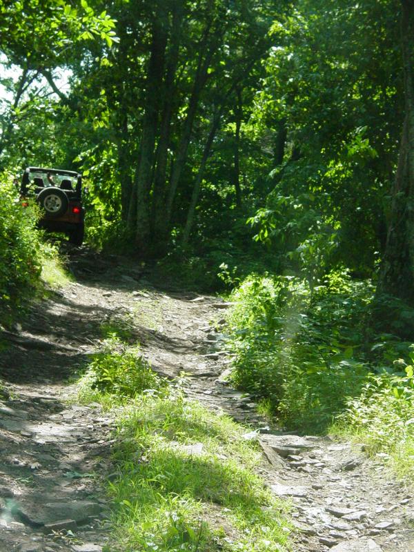 Gino on Stone Camp Rd - Click to Enlarge