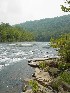 Tygart
