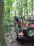 Looking up the Trail