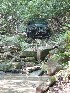 Bush Crawling