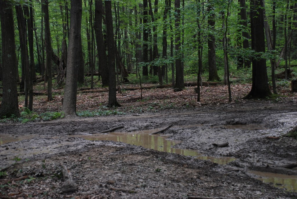 Mud