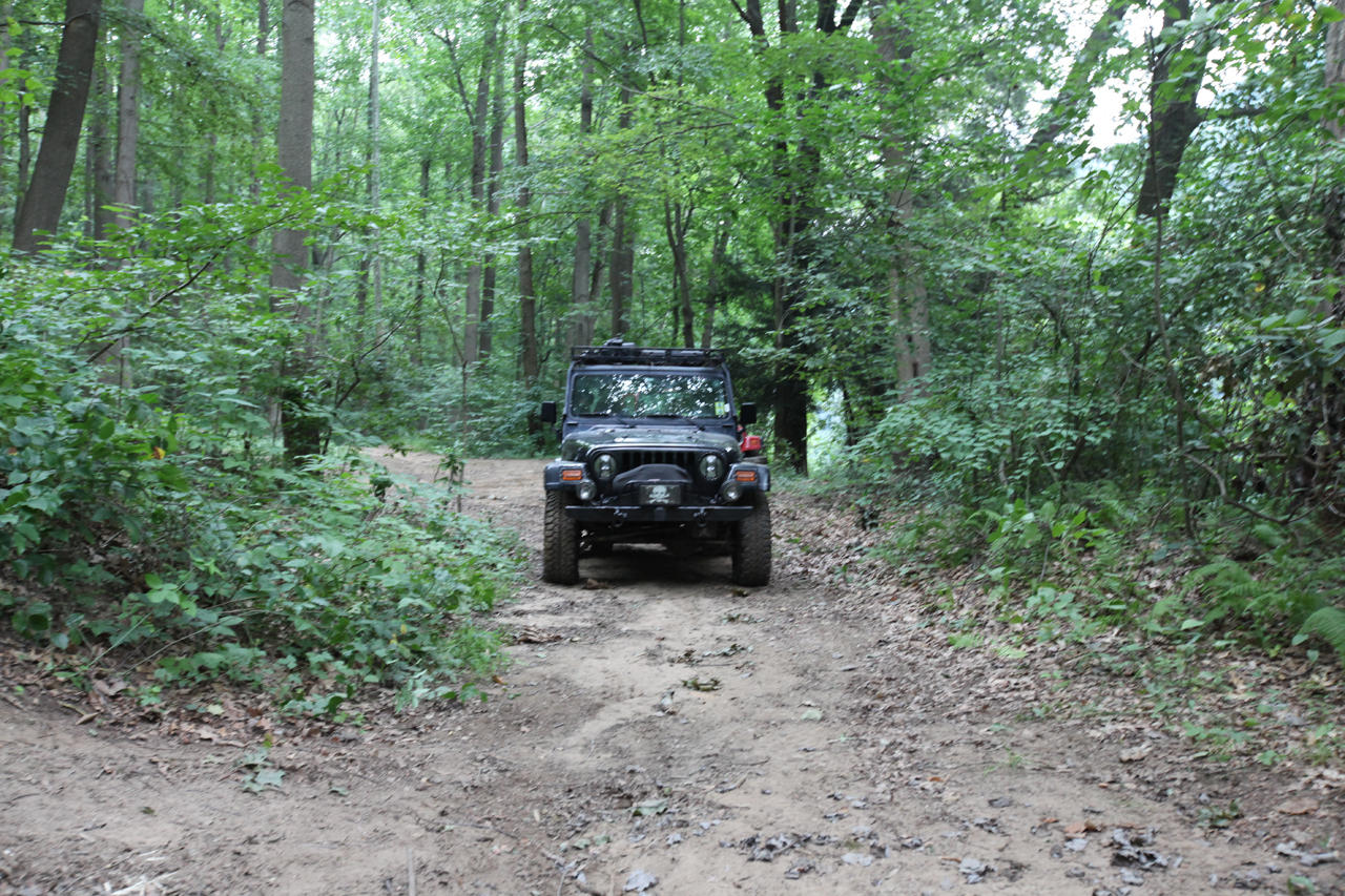 The Jeep