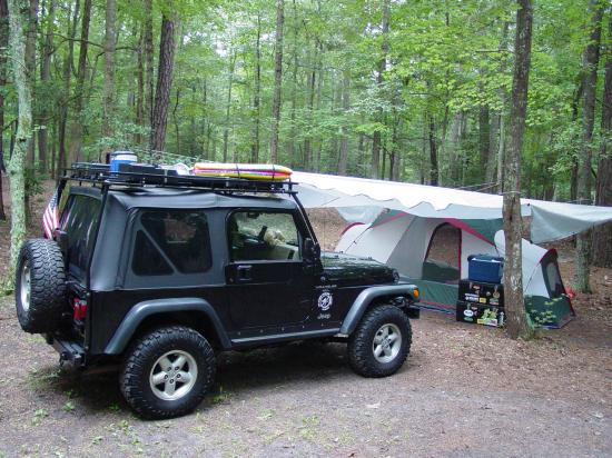 All set up in Pocomoke River State Park (Blue Heron Site 146)