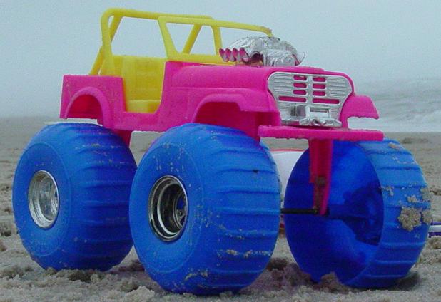 Pinky on the Beach