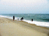 Assateague Beach