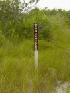 No Vehicles