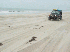 Paul driving on the beach