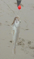 Prized Catch