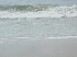 Surf