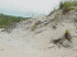 Dunes (But where's Carl?)