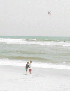 Kids and wind surfer