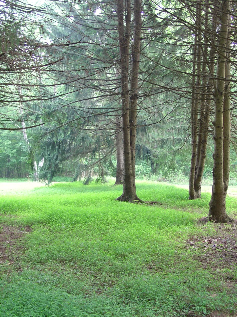 Our Camp at Peterkin