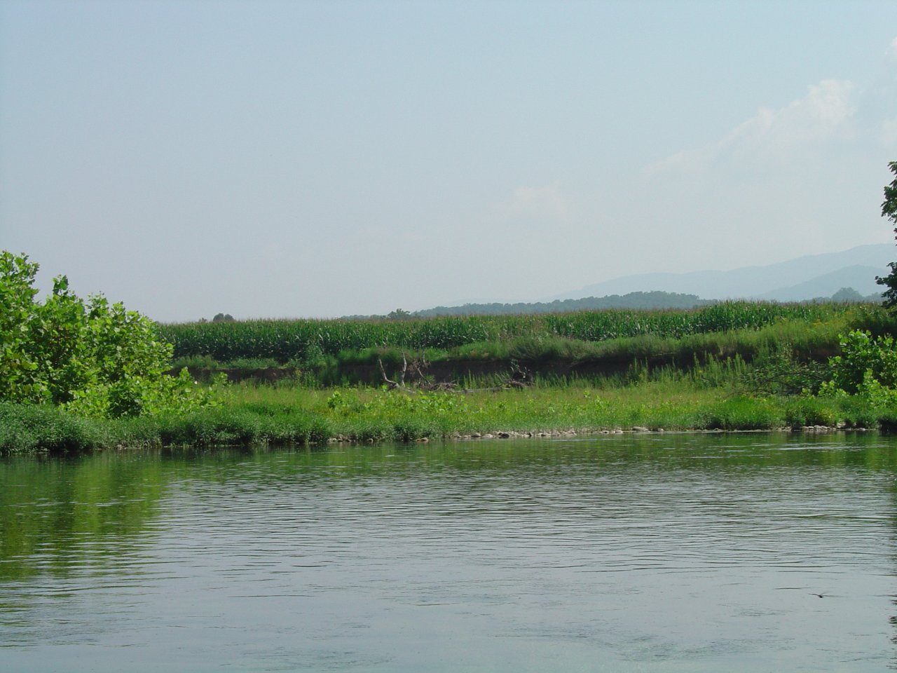 River Bank