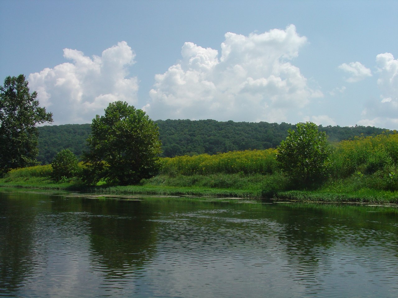 River Bank