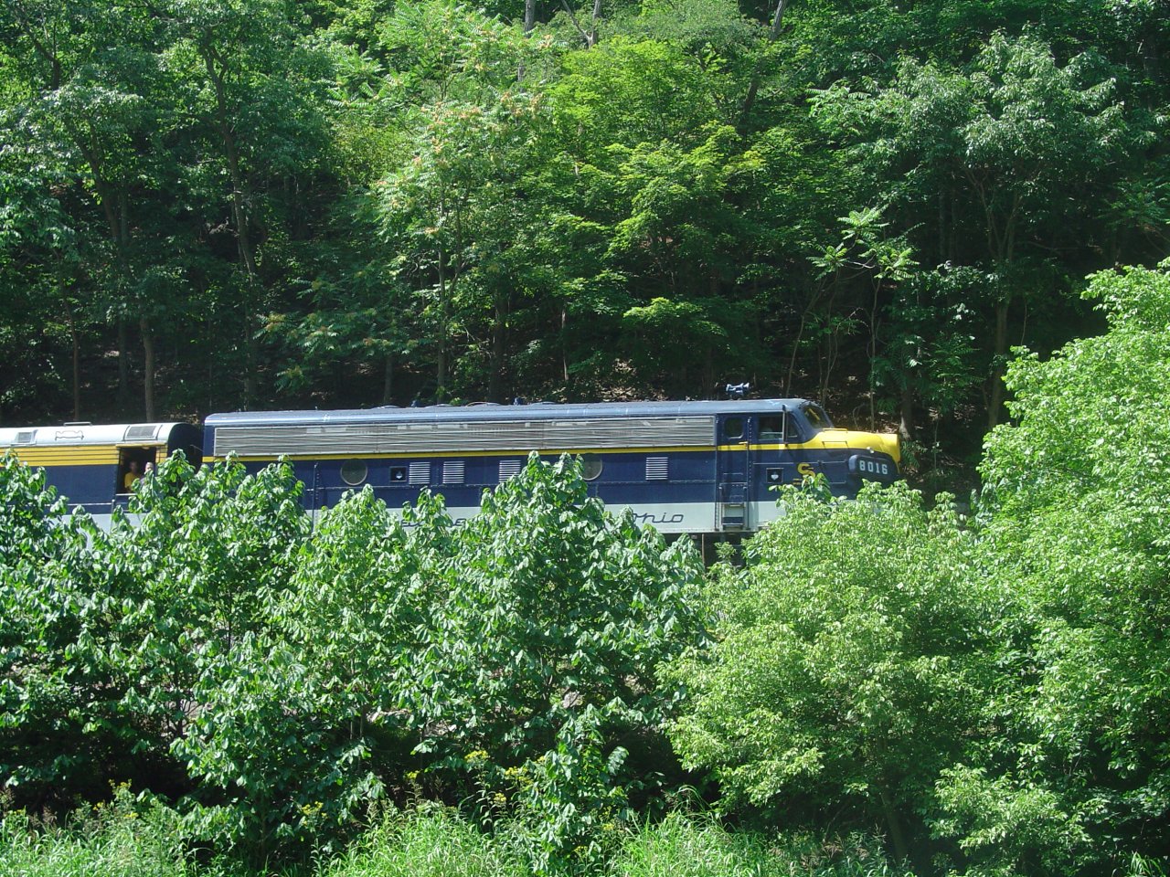 The Train