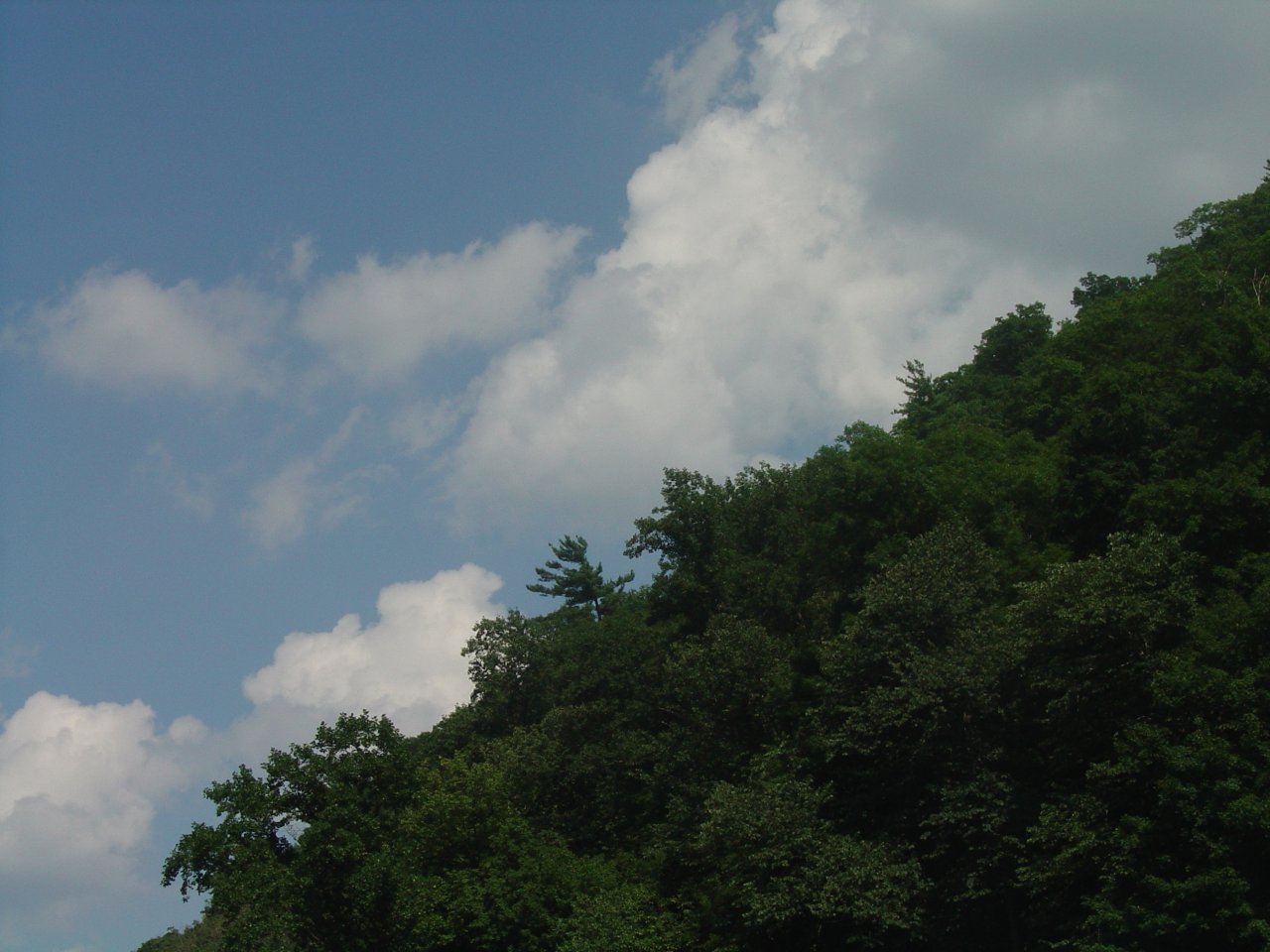 Eagle's Perch