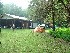 Our Camp at Peterkin