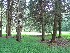 Our Camp at Peterkin
